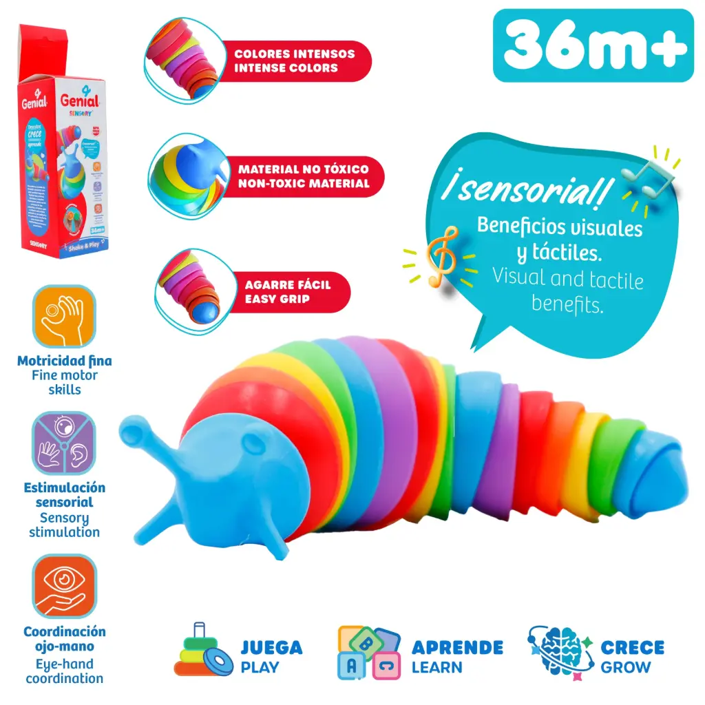 Gusano sensorial